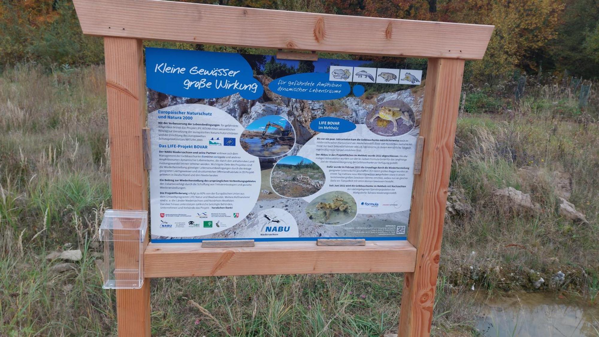 Ferienwohnung Gipfelglueck Mit Fernblick Und Strandkorb Bad Sachsa Exteriör bild